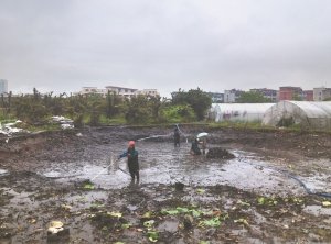 临沂河道鱼塘清淤